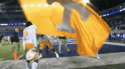Person Holding Large Orange Flag With T GIF