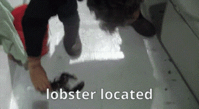 Person Holding Lobster On Ground GIF