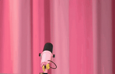 Person Holding Microphone In Front Of Pink Curtain GIF