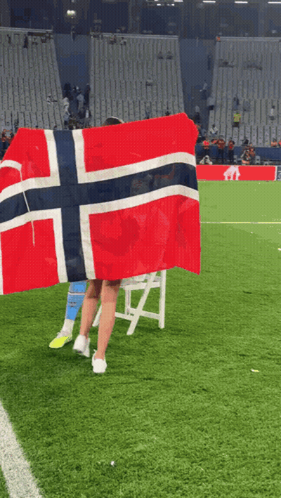 Person Holding Norwegian Flag On Field GIF