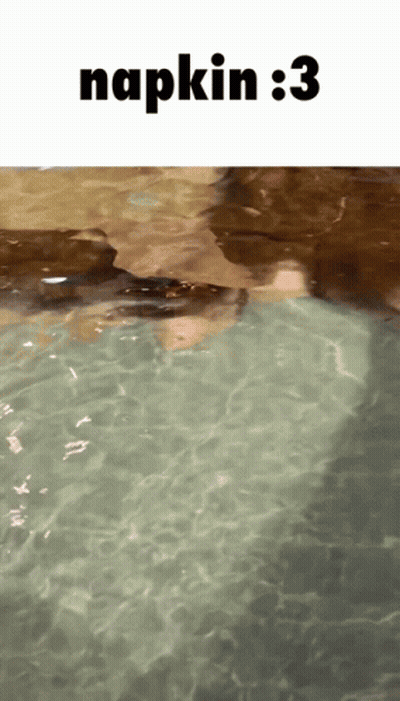 Person Holding Orange Fanta Can GIF
