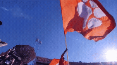 Person Holding Orange Flag With C GIF