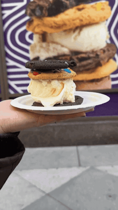 Person Holding Paper Plate With Cookie Sandwich
