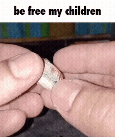 Person Holding Paper Saying Be Free My Children GIF