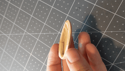 Person Holding Piece Of Wood GIF