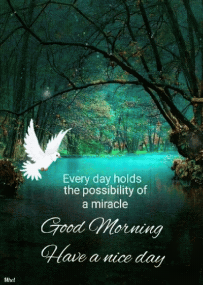 Person Holding Pink Flower Saying Good Morning Babe GIF