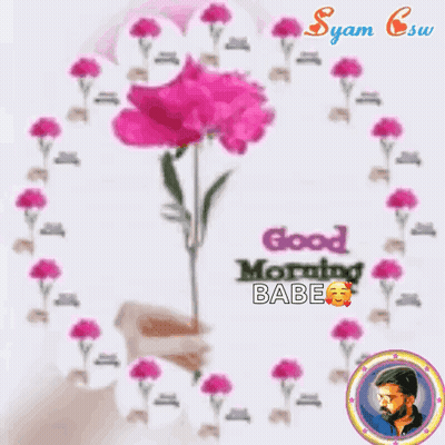 Person Holding Pink Flower Saying Good Morning Babe GIF