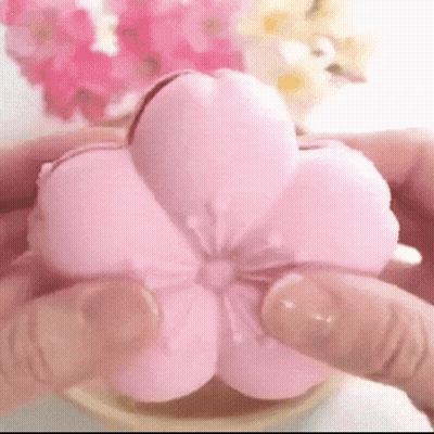 Person Holding Pink Flower GIF
