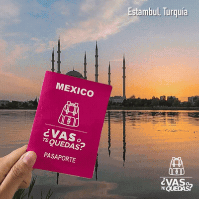 Person Holding Pink Mexico Passport In Front Of Lake GIF