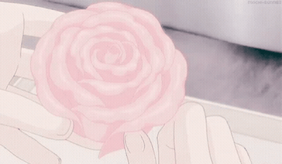 Person Holding Pink Rose GIF