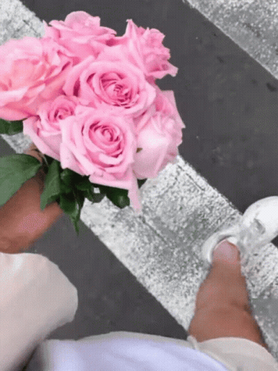 Person Holding Pink Roses GIF