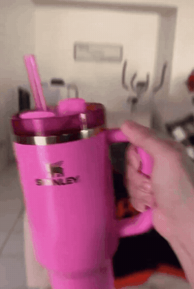 Person Holding Pink Stanley Mug With Pink Straw GIF
