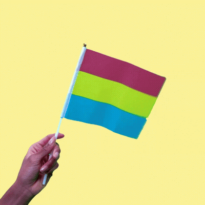 Person Holding Pink Yellow Blue Flag GIF