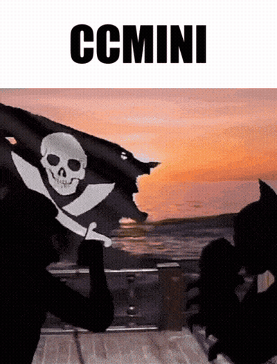 Person Holding Pirate Flag With Skull And Crossbones GIF