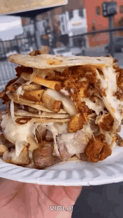 Person Holding Plate With Sandwich GIF