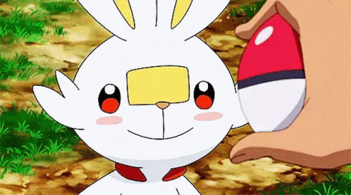 Person Holding Pokeball Over Rabbit Head GIF