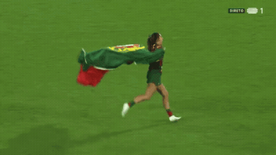 Person Holding Portuguese Flag Soccer Field 1 GIF