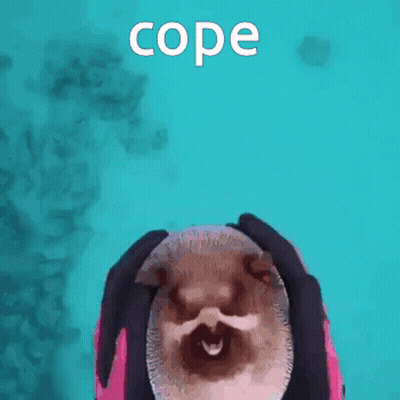 Person Holding Puffer Fish Cope GIF
