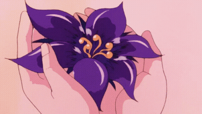 Person Holding Purple Flower With Number 32 GIF