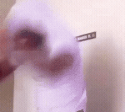 Person Holding Purple Object GIF