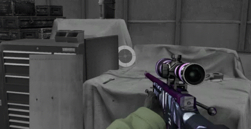 Person Holding Purple Sniper Rifle In Front Of Craftsman Toolbox GIF