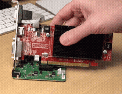 Person Holding Radeon Graphics Card GIF