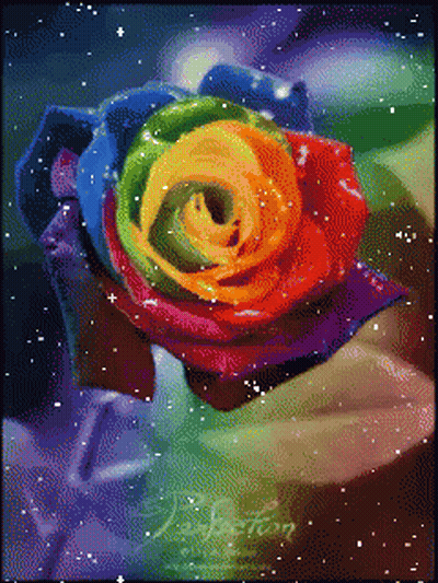 Person Holding Rainbow Rose With Jackson GIF
