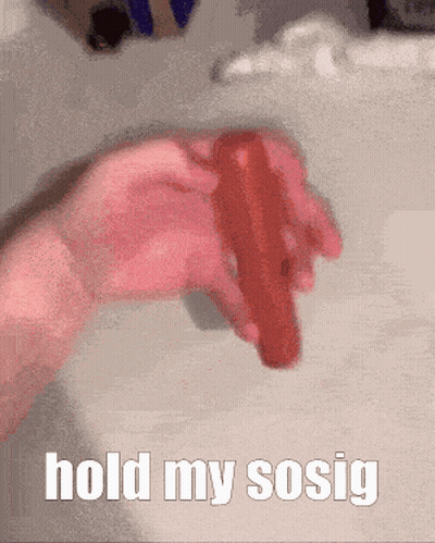 Person Holding Red Hot Dog Saying Hold My Sosig GIF