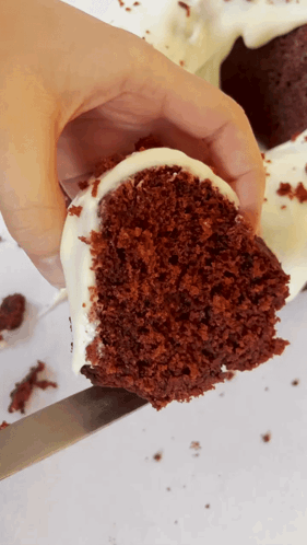 Person Holding Red Velvet Cake Slice GIF