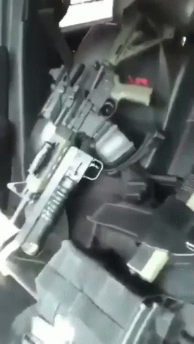 Person Holding Rifle In Back Seat GIF
