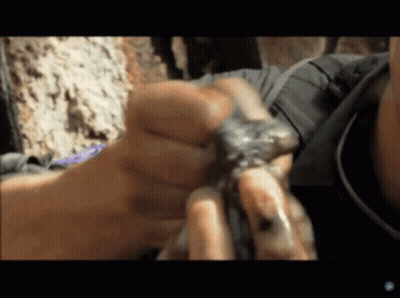 Person Holding Rock With Blue Icon GIF