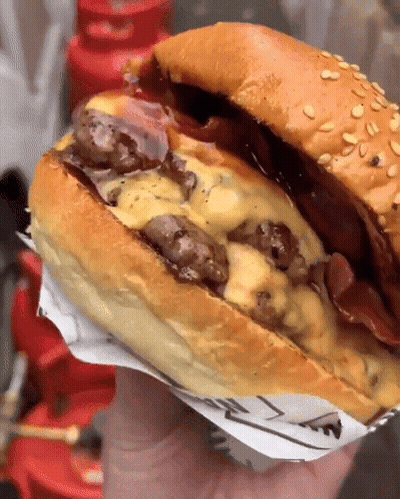 Person Holding Sesame Seed Hamburger GIF
