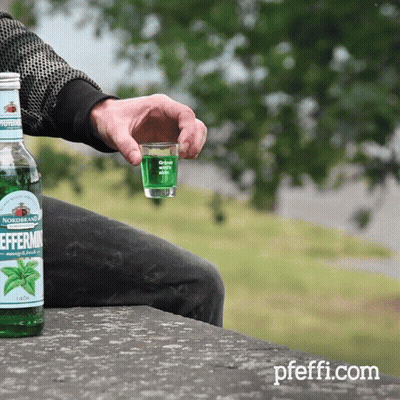 Person Holding Shot Glass With Green Liquid And Nordbrand Peppermint GIF