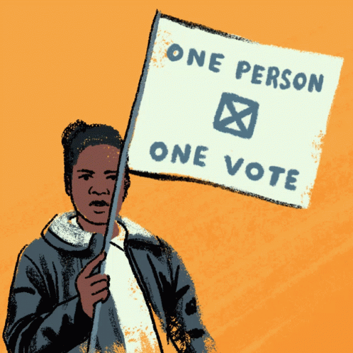 Person Holding Sign One Person One Vote GIF