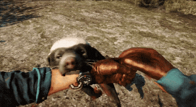 Person Holding Small Animal With Watch On Wrist GIF