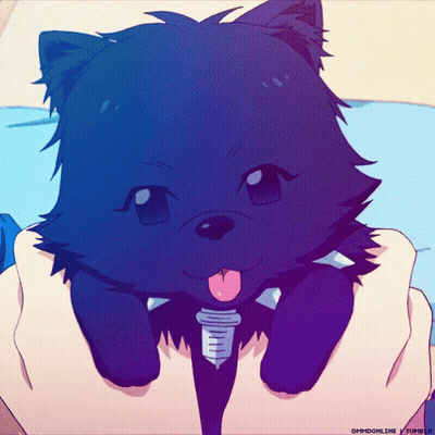 Person Holding Small Black Cat With Tongue Out GIF