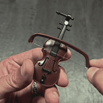 Person Holding Small Violin With Letter S GIF