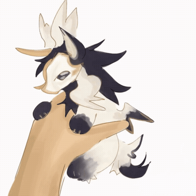 Person Holding Small White and Black Animal