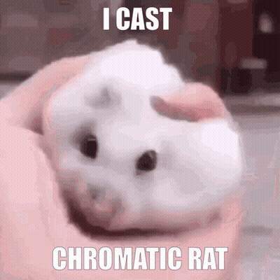 Person Holding Small White Rat Saying I Cast Chromatic Rat GIF
