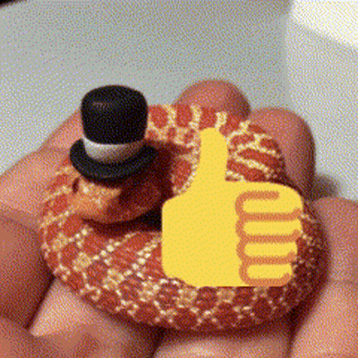 Person Holding Snake In Top Hat Thumbs Up GIF