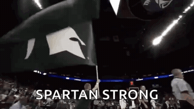 Person Holding Spartan Flag In Front Of Crowd GIF