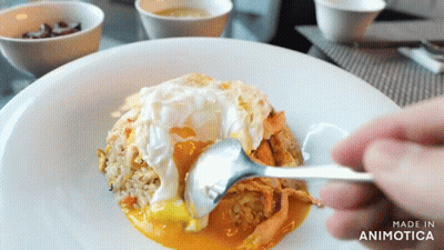Person Holding Spoon Over Plate Of Food Made In Animatica GIF
