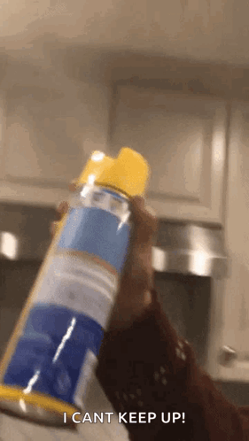 Person Holding Spray Bottle Saying I Can't Keep Up GIF