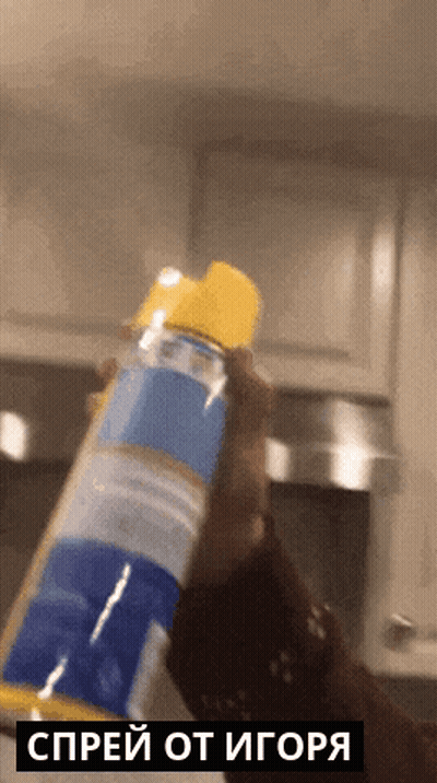 Person Holding Spray Bottle Saying Spray GIF