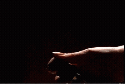 Person Holding Spray Bottle With Smoke GIF