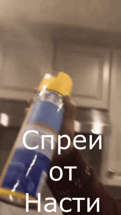 Person Holding Spray Bottle With Spray From Nasti GIF