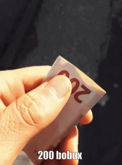 Person Holding Stack Of 20 Euro Bills GIF