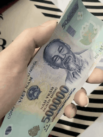 Person Holding Stack Of Vietnamese Money GIF