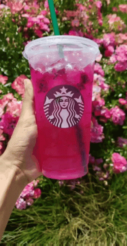 Person Holding Starbucks Drink GIF
