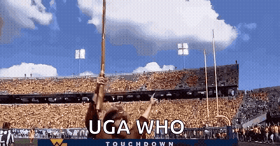 Person Holding Stick In Stadium Saying Uga Who Touchdown GIF